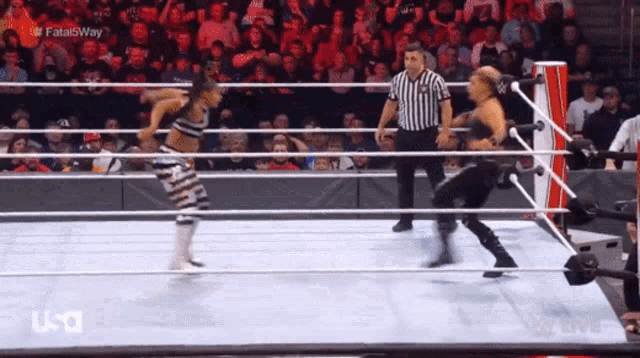 two women are wrestling in a ring with a referee and a usa logo