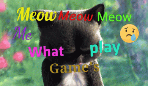 Meow Meow Meow Me What Play Games GIF - Meow Meow Meow Me What Play Games Cat GIFs