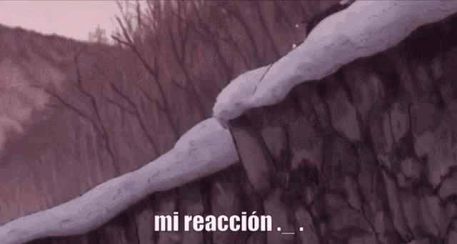 a purple background with the words mi reaccion