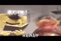 Really Bert And Ernie GIF - Really Bert And Ernie Realy GIFs