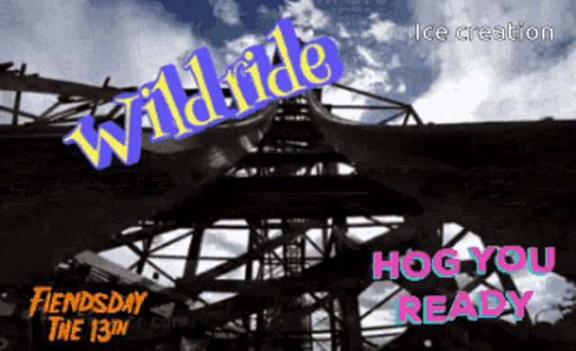 a poster for a roller coaster that says wild ride hog you ready