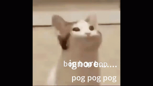 Pog Pog Pog GIF - Pog Pog Pog GIFs