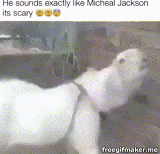 Michael Jackson Goat GIF - Michael Jackson Goat Scary GIFs