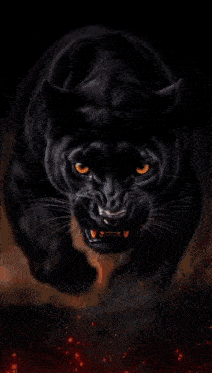 a close up of a black panther 's face with a broken glass background