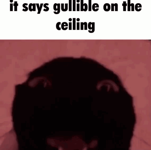 Gullible GIF - Gullible GIFs