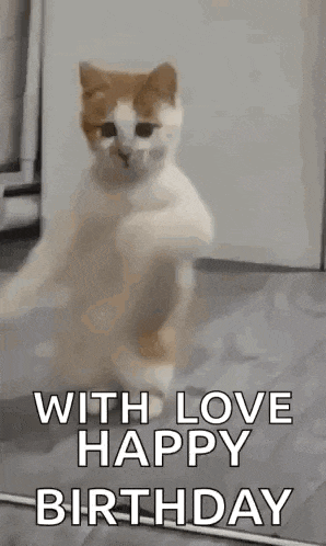 a cat is standing on its hind legs with the words `` with love happy birthday '' written on it .