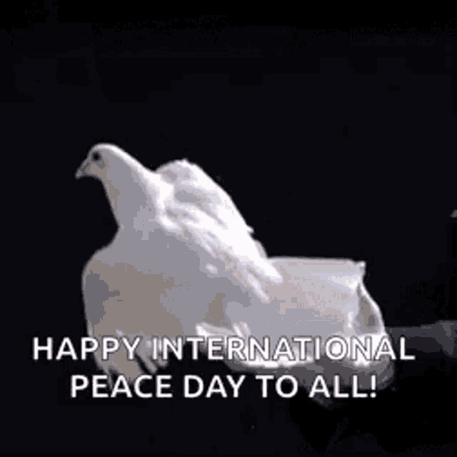 Paloma De La Paz Happy National Peace Day GIF - Paloma De La Paz Happy National Peace Day Dove GIFs