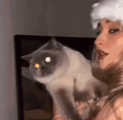 a woman in a white hat is holding a cat with orange eyes