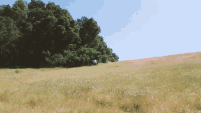 a blurred image of a person walking through a grassy field