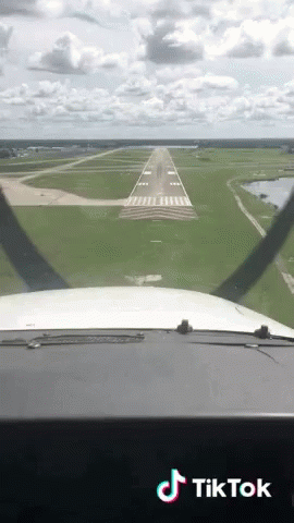 Fly Flying GIF - Fly Flying Fly Away GIFs