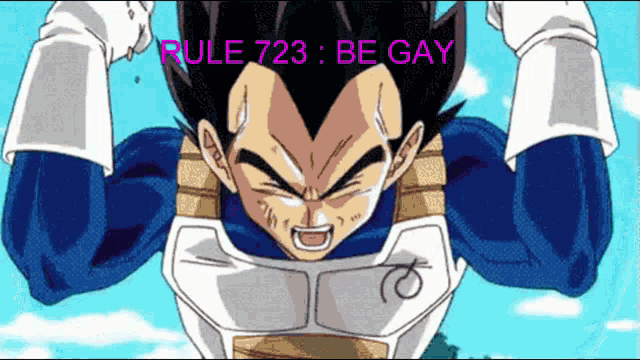 a picture of a cartoon character with the words rule 723 be gay above him