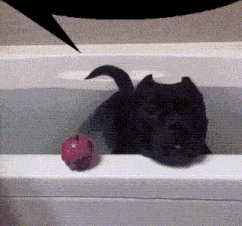 a black dog is laying in a bathtub with a pink ball