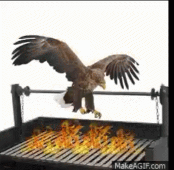 Aguila Brasa GIF - Aguila Brasa Herbesdolses GIFs