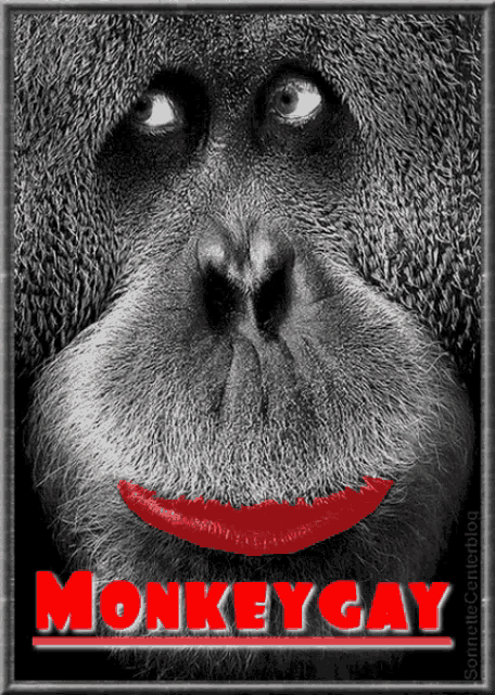 Monkey Red Monkey GIF - Monkey Red Monkey Monkey Kiss GIFs
