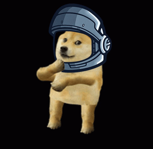 Cosmonauts Club Doge GIF - Cosmonauts Club Doge Dancing Dog GIFs