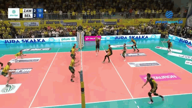 Michał żurek GIF - Michał żurek Volleyball GIFs
