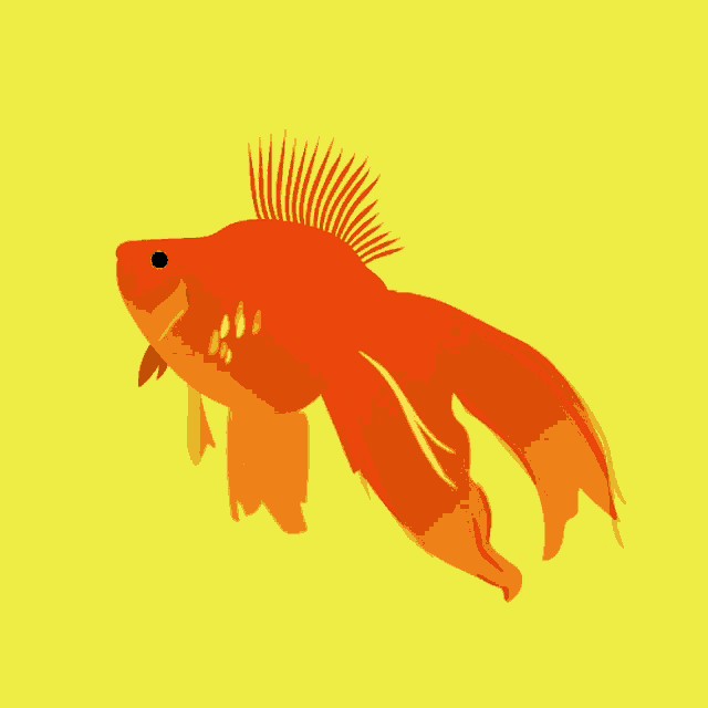 Julia Chamarelli Golden Fish GIF - Julia Chamarelli Golden Fish Fish GIFs