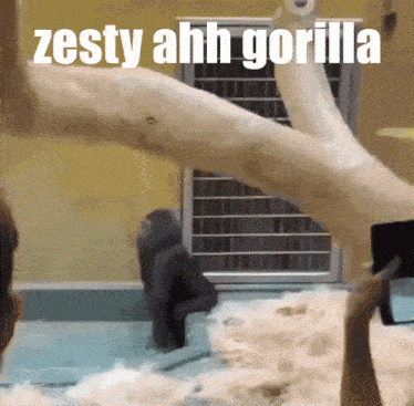 Zesty Gorilla GIF - Zesty Gorilla Monkey GIFs