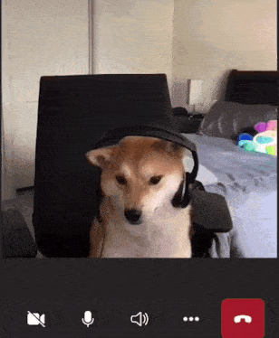 a dog wearing headphones sitting in a chair