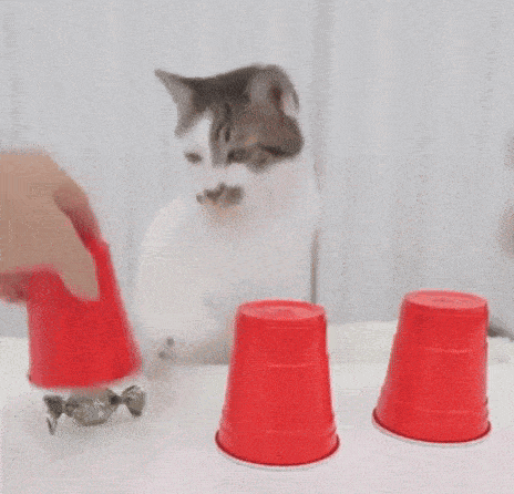 a cat is sitting on a table next to three red cups being stacked on top of each other .