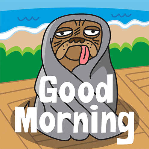 an illustration of a seal wrapped in a blanket with the words good morning