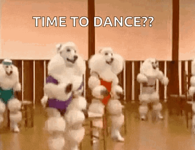 a group of white poodles are dancing together in a room .
