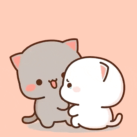 a gray and white cat are hugging each other on a pink background .