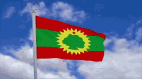 Alaba Oromo GIF - Alaba Oromo GIFs