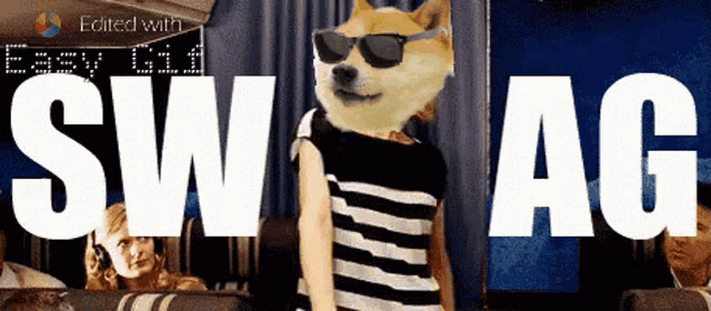 a dog wearing sunglasses and a black and white striped dress with the words swag behind him