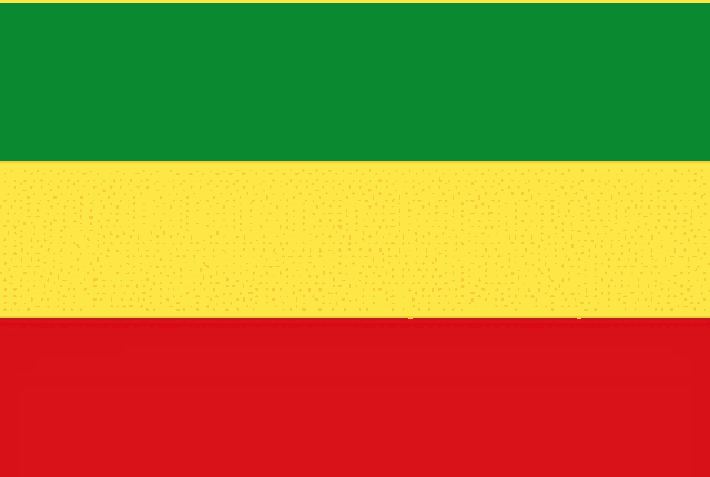a green , yellow , and red flag with a red stripe on the bottom .