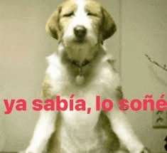 Chile Meme
