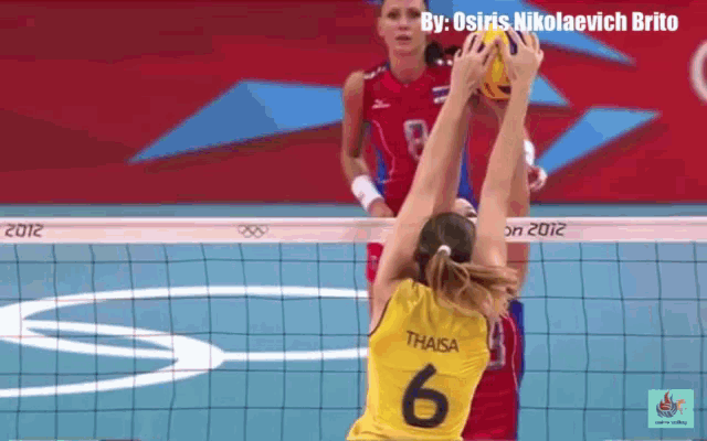 Womens Volleyball GIF - Womens Volleyball GIFs
