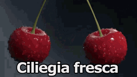 two cherries are splashing in the water and the words ciliegia fresca are below them
