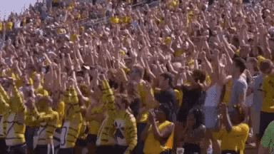 a crowd of people in a stadium wearing yellow shirts with a paw print on them