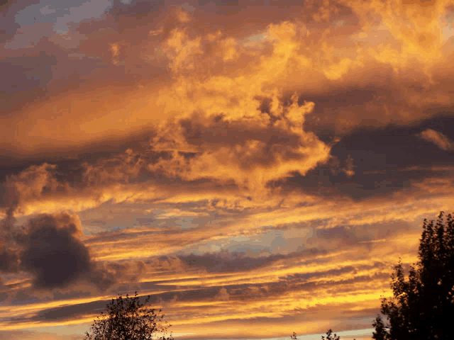 a sunset sky with trees in the foreground and clouds in the background