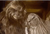 Lifeday Wookiee GIF - Lifeday Wookiee Star GIFs