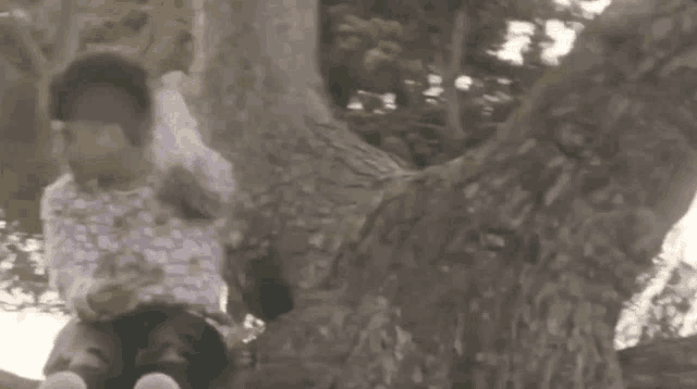 a man is sitting in a tree holding a bunch of money in his hand .