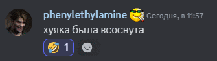 a screenshot of a discord conversation between phenylethylamine