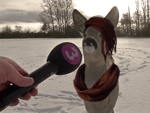 a deer wearing a scarf and a hat is being interviewed by a microphone with the number 3 on it