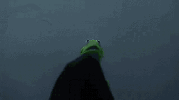 kermit the frog and the grim reaper are standing next to each other and the grim reaper is wearing a black hood .