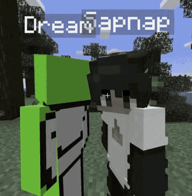 a couple of minecraft characters standing next to each other with a sign that says dream mapnap