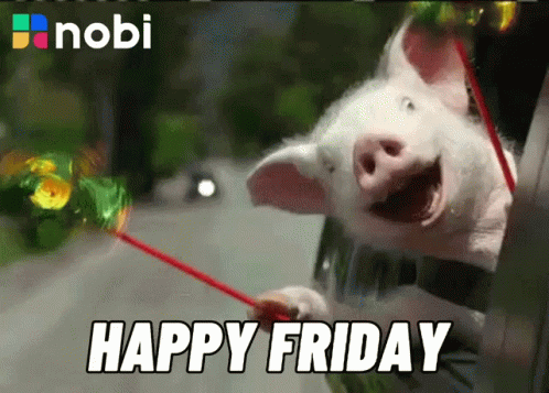 Happy Friday Friday GIF - Happy Friday Friday Nobi GIFs