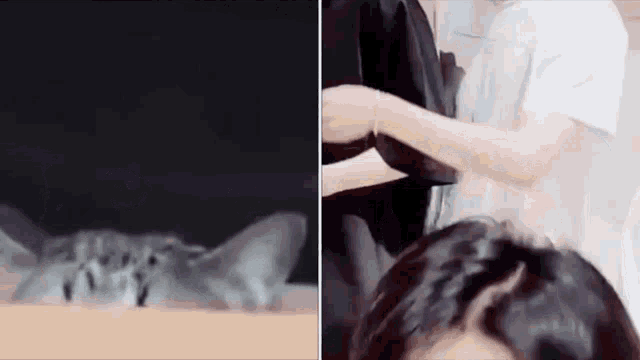 a close up of a cat laying on a table next to a woman