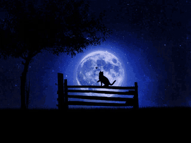 a cat sits on a fence in front of the full moon