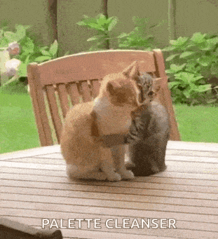 two cats are sitting next to each other on a table .