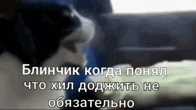 a blurred image of a cat with russian writing