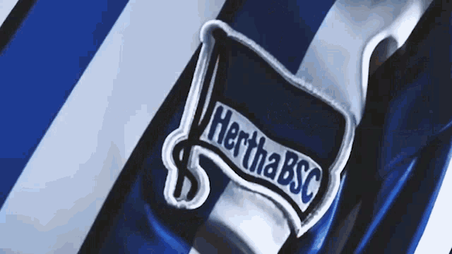 Hertha Berlin Hertha Bsc GIF - Hertha Berlin Hertha Bsc Bsc GIFs
