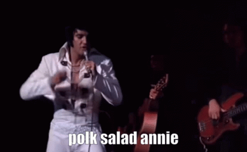 Polk Sallad Annie Elvis GIF - Polk Sallad Annie Elvis Elvis Presley GIFs