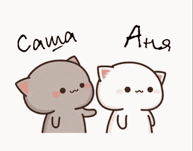 a couple of cats are standing next to each other and one is petting the other 's face .