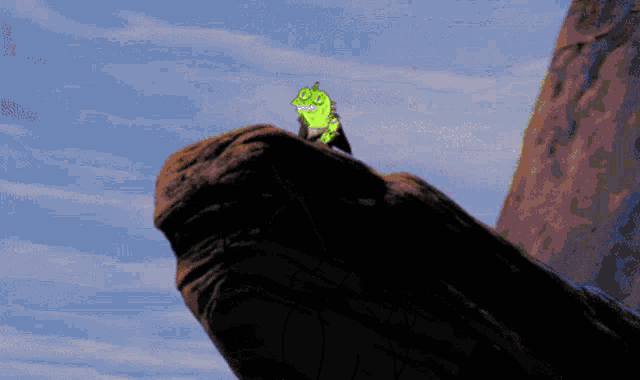 a frog is sitting on top of a rock with a blue sky behind it